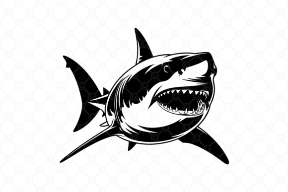 Download Shark SVG, Great White Shark SVG, 010 - Shark svg Collection