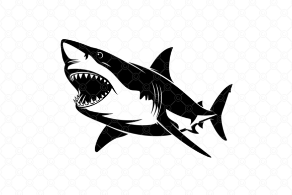 Download Shark SVG, Great White Shark SVG, 011 - Shark svg Collection